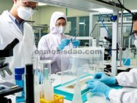 Desain Aditif Sinergis untuk Elektrolit Berbasis Propilena Karbonat Tegangan Tinggi dan Suhu Luas dalam Baterai Lithium-Ion Praktis