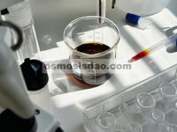 Degradasi 2,4-dinitrotoluena oleh komposit besi sulfida/mangan sulfida–biochar dengan adanya persulfat dan hidrogen peroksida
