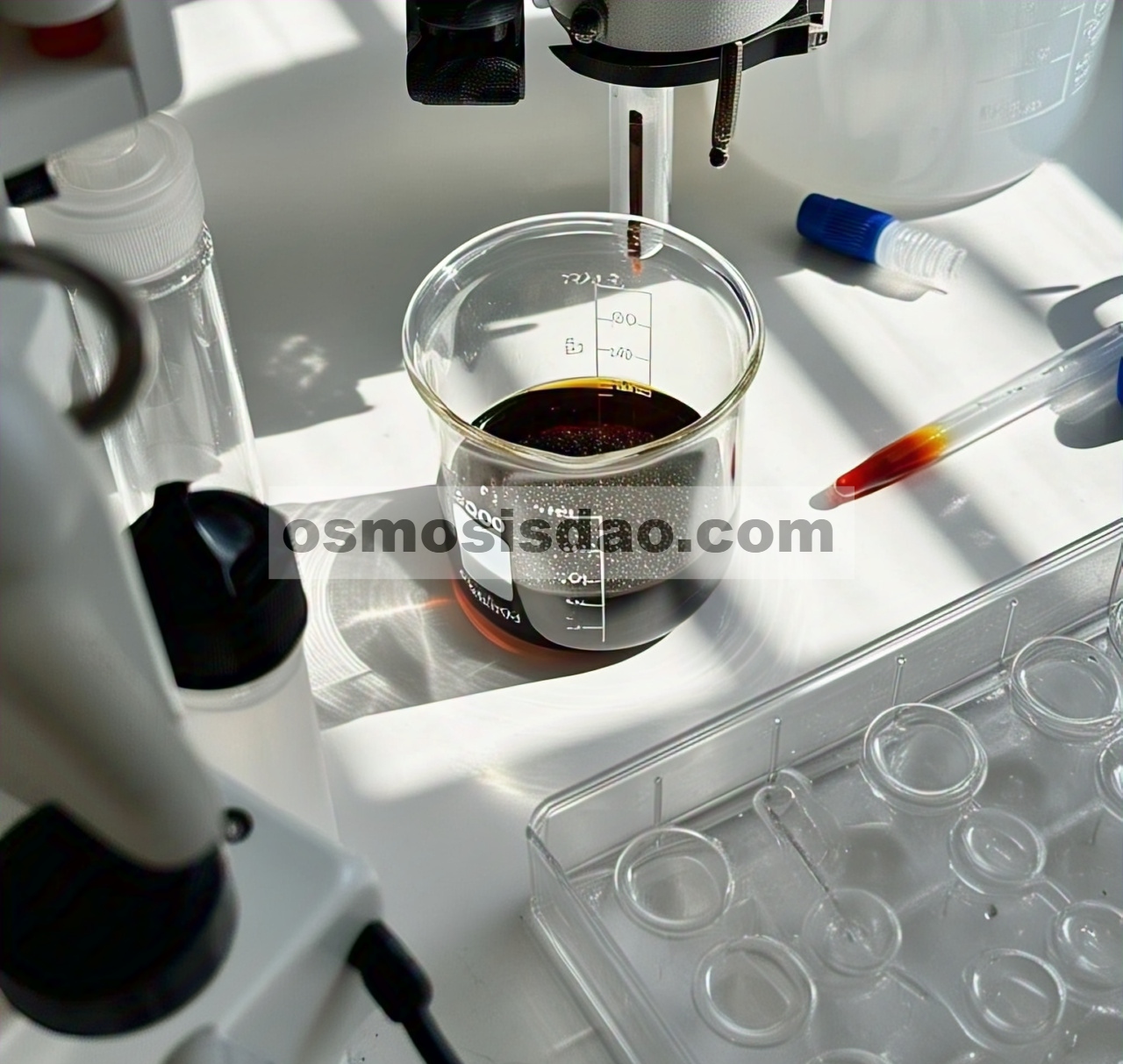 Degradasi 2,4-dinitrotoluena oleh komposit besi sulfida/mangan sulfida–biochar dengan adanya persulfat dan hidrogen peroksida