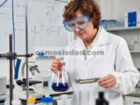 Khasiat Anti-Apoptotik Nanopartikel Besi yang Diformulasikan dengan Ekstrak Daun Syzygium aromaticum pada Garis Sel Adenokarsinoma Paru Manusia NCI-H661 dan Mengikuti Jalur Sinyal PI3K/AKT/mTOR