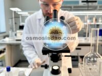 Ciprofloxacin Dithiocarbamates of Triorganotin(IV) dan Chloro-Diorganotin(IV) sebagai Alternatif Baru untuk Mengatasi Resistensi Bakteri terhadap Berbagai Obat