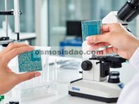 Dari CsPbBr Murni ke CsPbBr yang Didoping Sn : Menganalisis Evolusi Sifat Optoelektronik untuk Detektor Semikonduktor yang Lebih Baik
