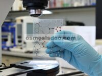 Kedekatan Logam-Asam dan Struktur Pori dalam Katalis Bifungsional: Dampak pada Kinerja Hidroisomerisasi n - C16 dan Distribusi Produk