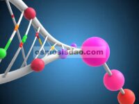 Denaturasi DNA dan Protein Albumin dengan Kehadiran Kandidat Antitumor Baru